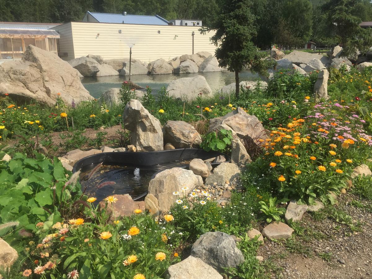 Chena Hot Springs Resort Esterno foto