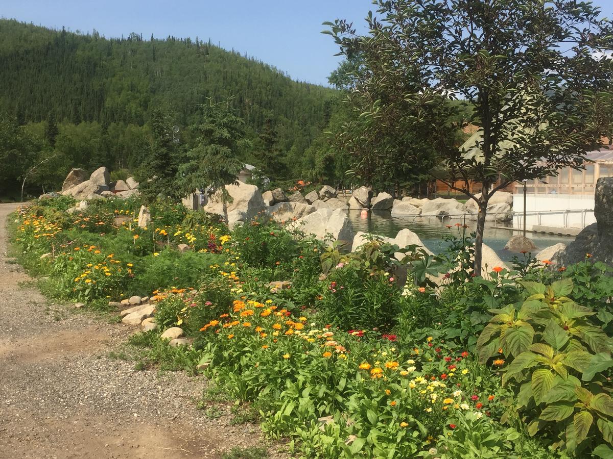 Chena Hot Springs Resort Esterno foto